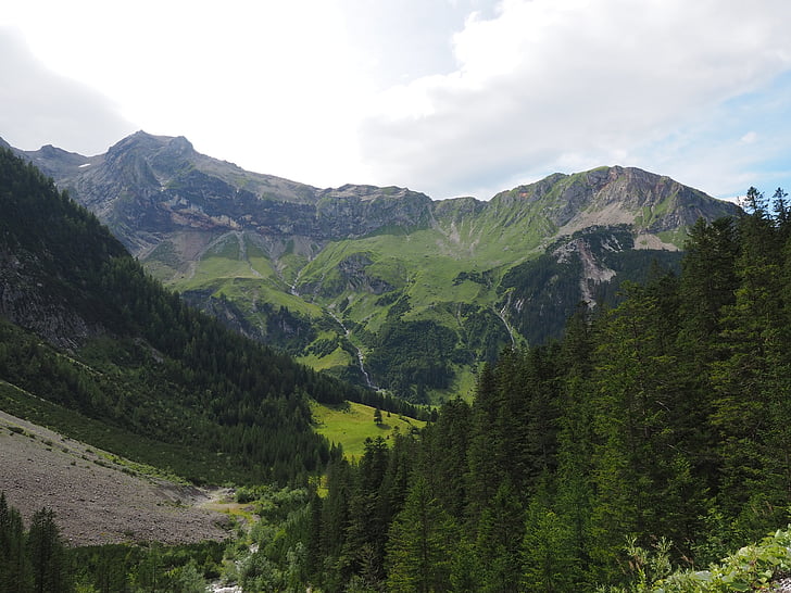 Wildberg, motta huvud, Brandnertal, Anonym, Mountain, bergen, Alpin