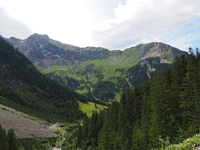 Wildberg, cabeça de Motta, brandnertal, Adriano, montanha, montanhas, Alpina