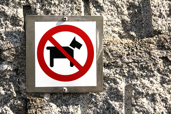 šuo, draudžiama, draudimas, ženklas, šunų draudimas, leidyklai, šuns tualetas