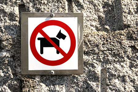 куче, забранено, Бан, знак, куче забрана, забранителни, няма куче тоалетна