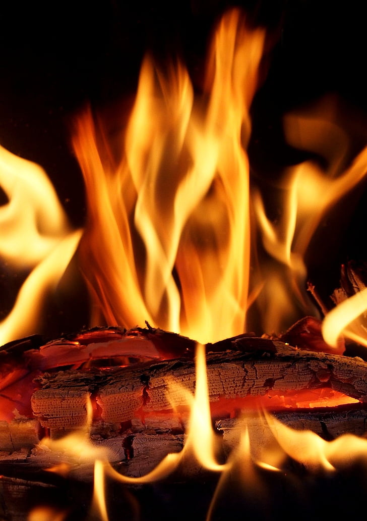 foc, flama, fusta, calenta, llum, resplendor, Nadal
