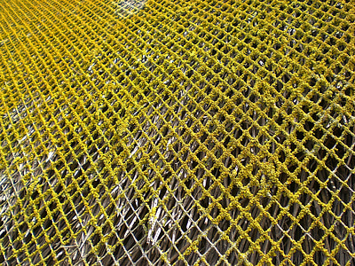 编织, 网格, 网络, 茅草的屋顶