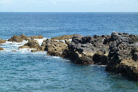 cliffs, sea, rock, madeira, coast, ocean, summer
