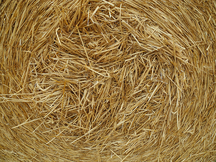 straw, agriculture, grain, crop, field, countryside, cereals