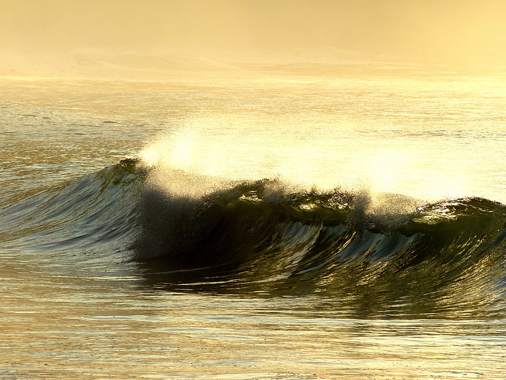 wave, dawn, ubatuba, they are félix, são paulo, litoral, mar