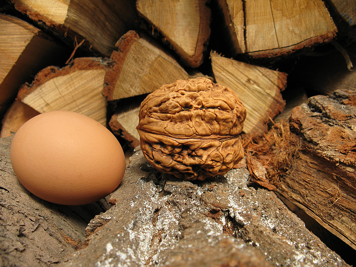 walnut, nut, large, hen's egg, eat, brown, nuts