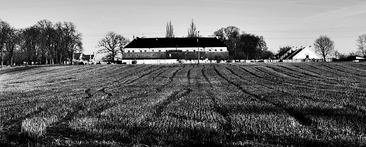 landscape, field, black and white