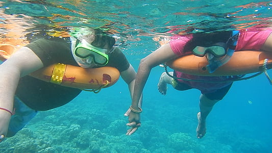 Snorkelling, Laut Arab, Menyelam, bawah air, laut, liburan, musim panas