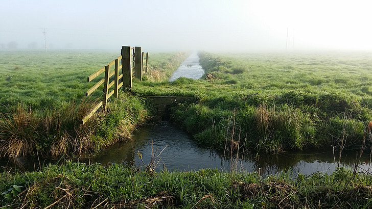 countryside, british, uk, field, fog, somerset
