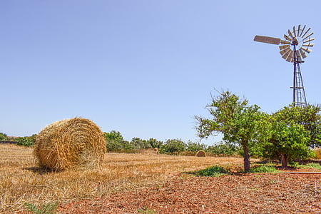 ferme, arbres, campagne, Agriculture, paysage, rural, pays