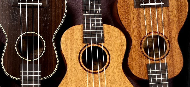 ukulele, snail, ukes, music, strings, instrument, acoustic