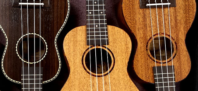 ukulele, lumaca, ukulele, musica, stringhe, strumento, acustica