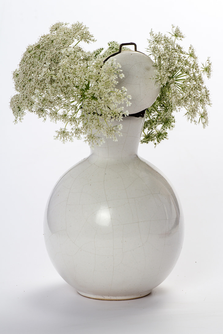 still life, flowers, wild flower, vase