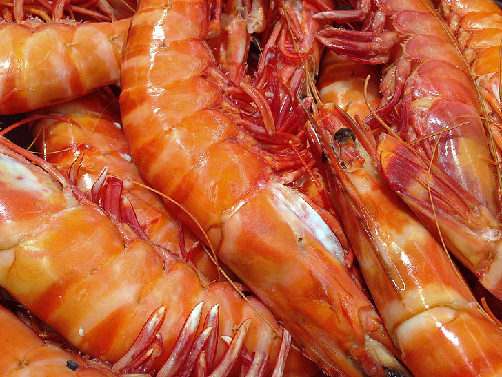 shrimp, seafood, fishing, crustaceans, food, freshness, gourmet