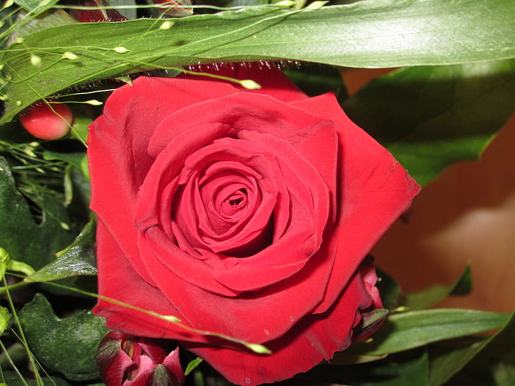 rose, red, bouquet