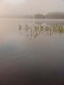 湖, 水, 自然, 風景, 霧, リード, スウェーデン