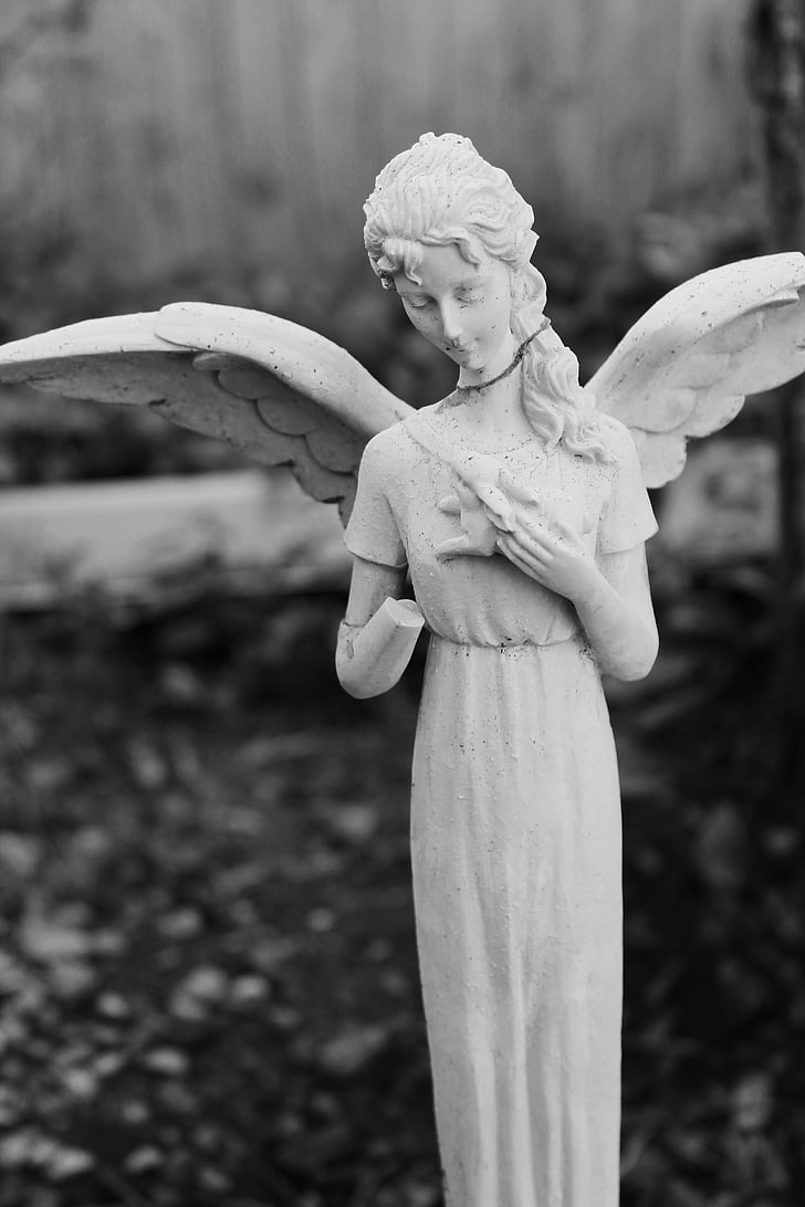 ange gardien, ange, ailes, ailes d’ange, religion, cieux, Angélique