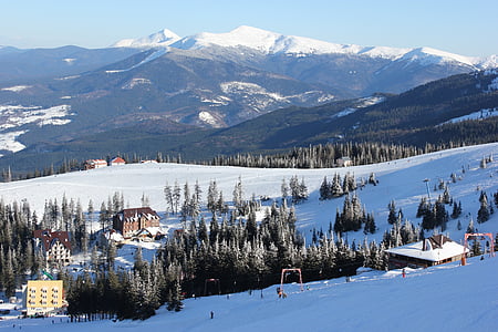 冬, 山, スキー リゾート, フォレスト, 雪, 風景, 観光