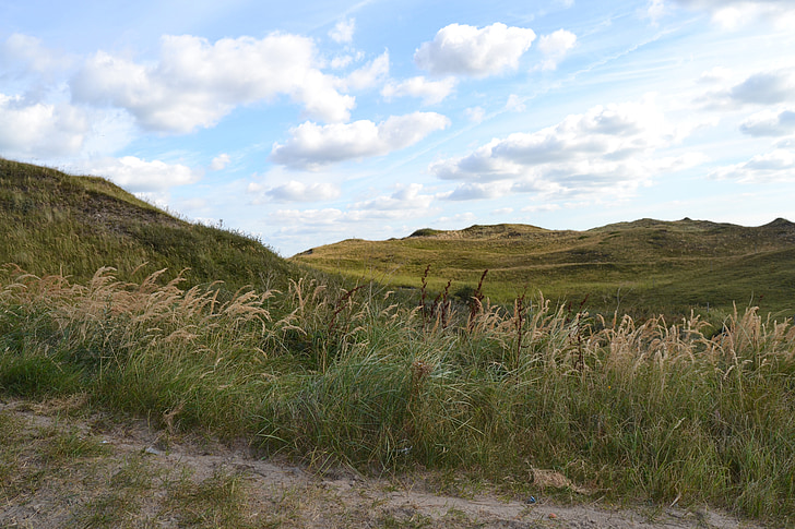 Texel, wydmy, wakacje, piasek, góry, pastwiska, pole