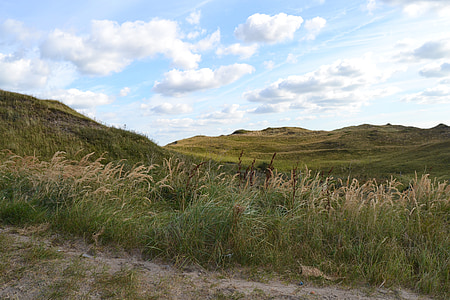 texel, dunes, holiday, sand, mountains, pasture, field