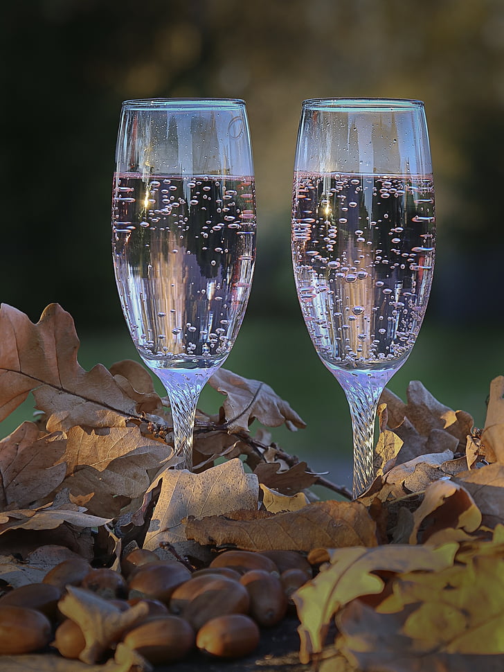 gafas, otoño, espumoso, Champagne, dos, el romántico, contactos personales