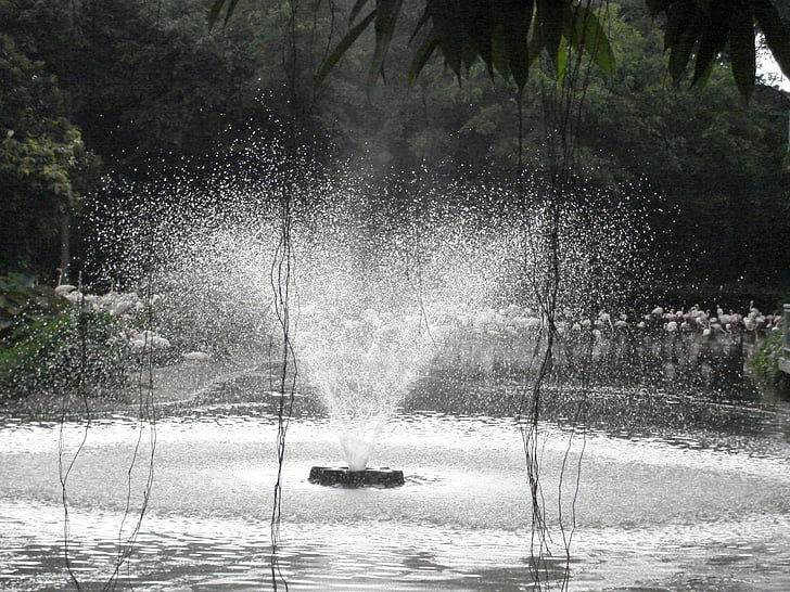Fontaine, pulvérisation, Aqua