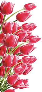 lily, flower, red, bouquet, celebration, elegant, florist
