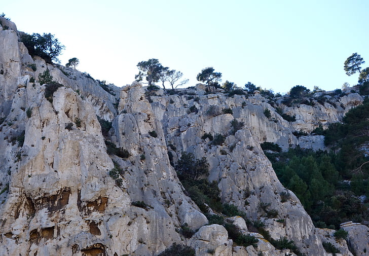 Calanques, Frankrijk, Marseille, rotsachtige kust, Rocky, landschap, bomen