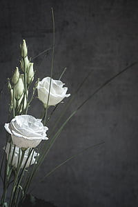 lisianthus, цвете, Блосъм, Блум, бяло, бели цветя, листенца