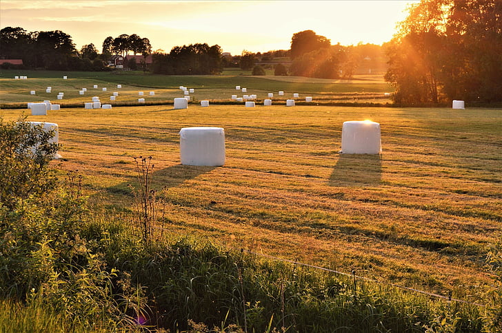 hay bales, sunset, sweden, småland, summer, outdoor, evening