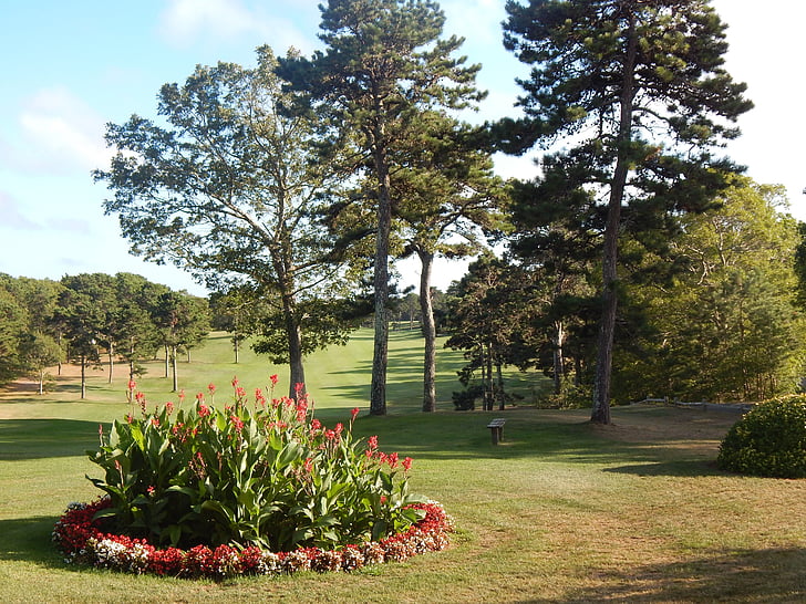 Golf, Słońce, aktywny wypoczynek, pole golfowe krajobraz, Fairway, styl życia