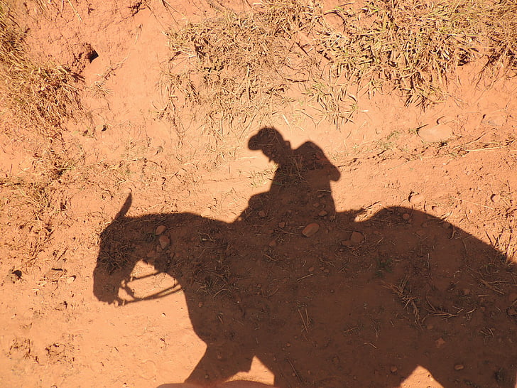 horse, shadow, earth, man on horse, desert