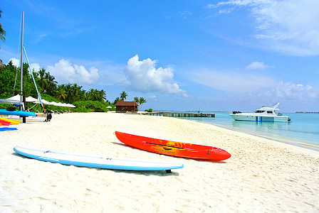 Maldiven, kokospalm, zee, Resort, zomer, vakantie, hemel