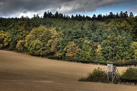 domaine, Lookout, Forest, HDR