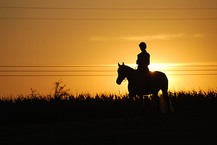 solnedgång, häst, jockey, siluett, djur, naturen, Utomhus