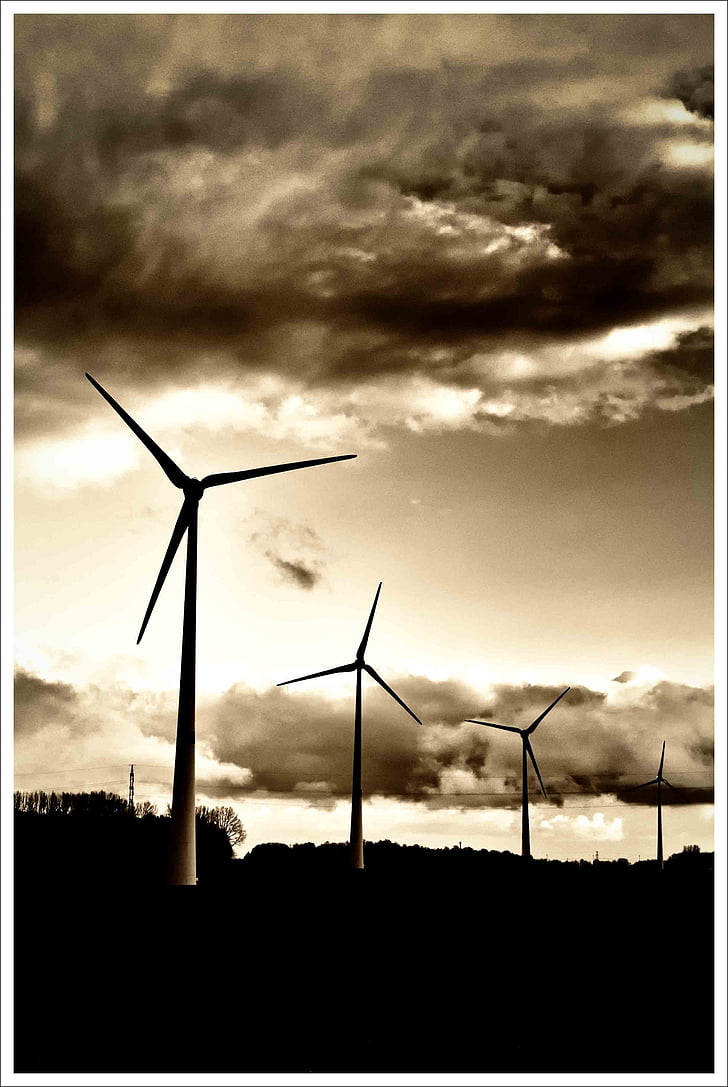 vindturbiner, svart-hvitt, b w, svart hvitt, strøm, energi, elektrisk