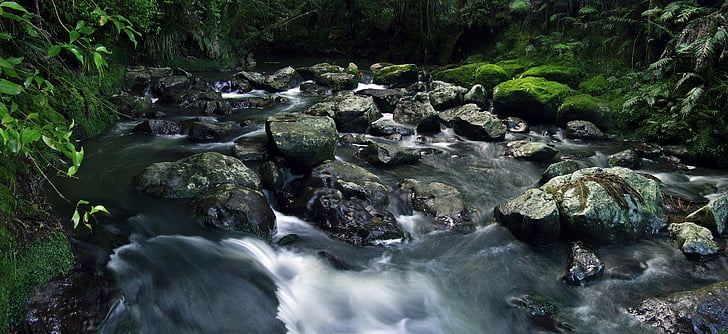 tok, mahovina, vode, duge ekspozicije, lišće, kamenje, tekuće vode
