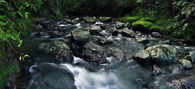 Stream, Moss, vatten, lång exponering, lämnar, stenar, rinnande vatten