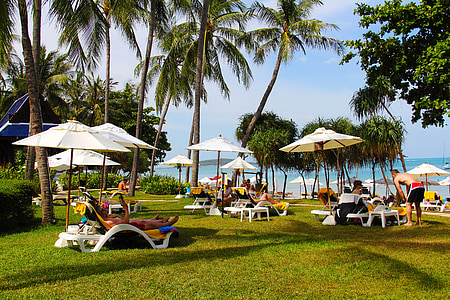 mare, Spa, plajă, Resort, pe litoral, palmieri, Relaxaţi-vă