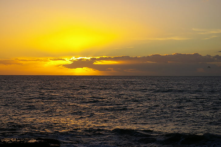 coucher de soleil, plage, Ténérife, îles Canaries