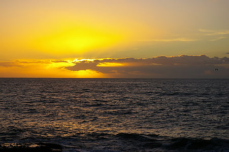 coucher de soleil, plage, Ténérife, îles Canaries