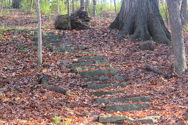 path, hiking, bellevue state park, stone, steps, leaves, littered