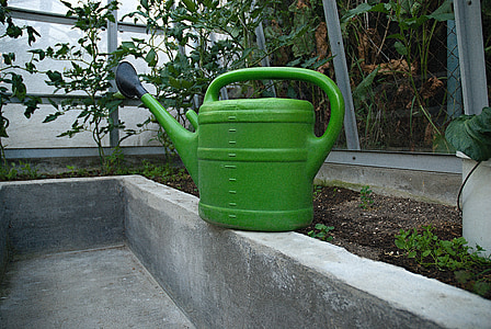 sprinkler, ewer, greenhouse, watering, tomatoes, sunset, cultivation