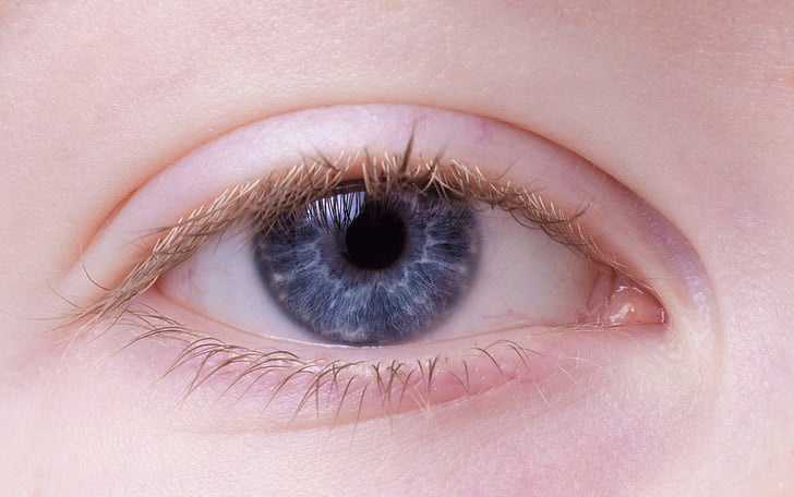 oko, samica, modrá, modrých očí, portrét, Zavrieť, ľudské