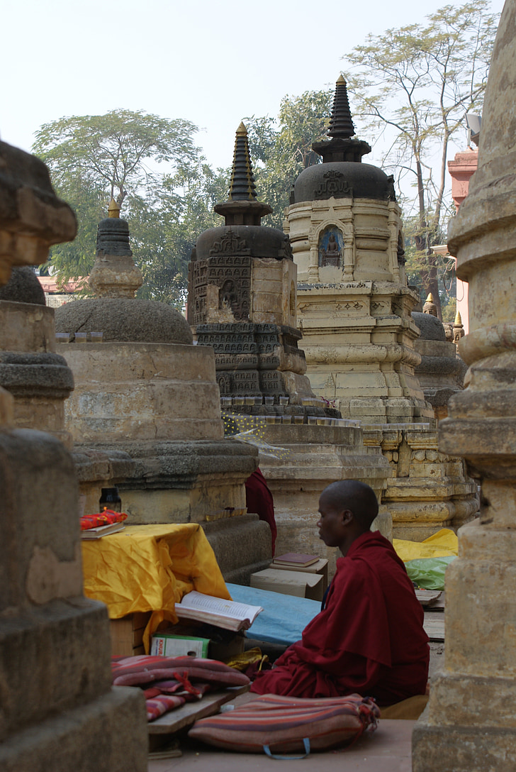 monk, buddhism, shrine, temple, robes, maroon, scriptures