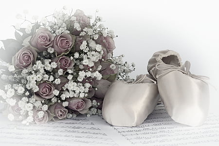 παπούτσια μπαλέτου, Χορός, τριαντάφυλλα, μπουκέτο με τριαντάφυλλα, γυψοφίλης, λουλούδια, Παρτιτούρα
