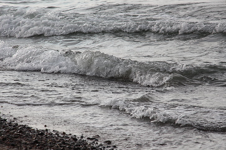 wave, beach, water, baltic sea, sea, holiday