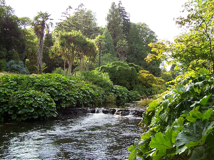 county wicklow, ireland, river, bank, plants, trees, green