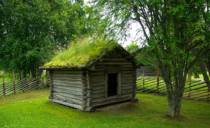 Finska, kabina, trave streho, zapiranje, Brunarica, Les - material, narave