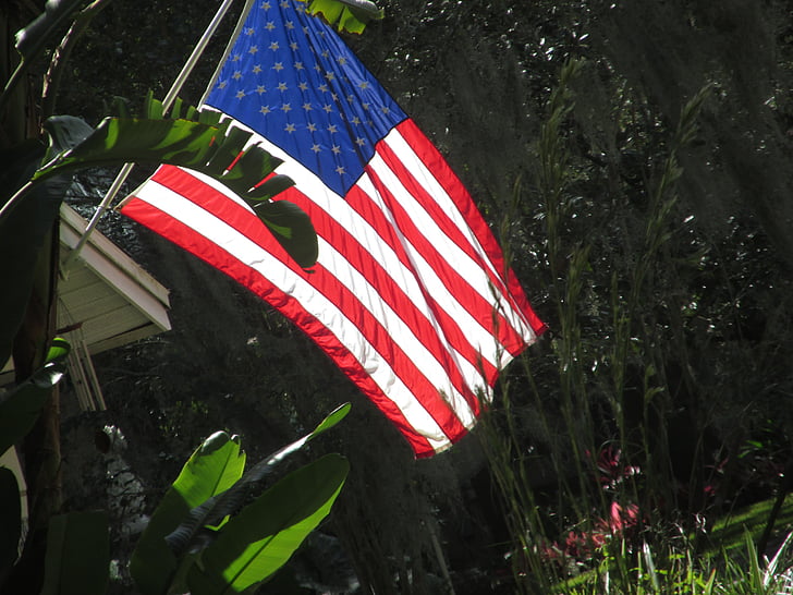 nord-americà, Bandera, EUA, símbol, Amèrica, Nacional, Regne